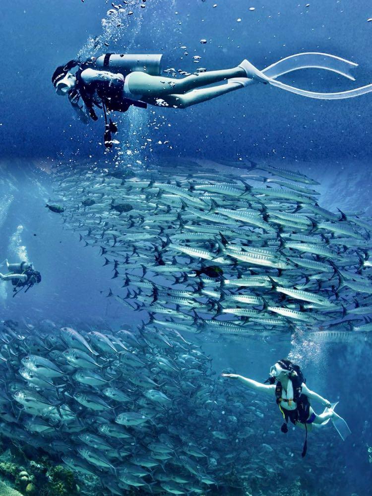 Dive+ Post Selection