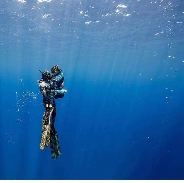 Dive+领路人的帖子