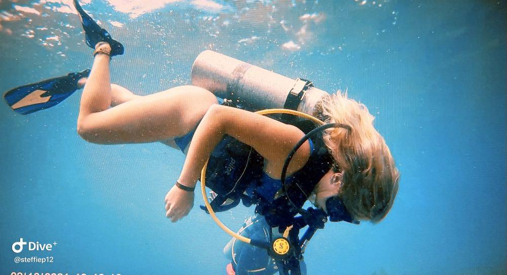 Dive+领路人的帖子
