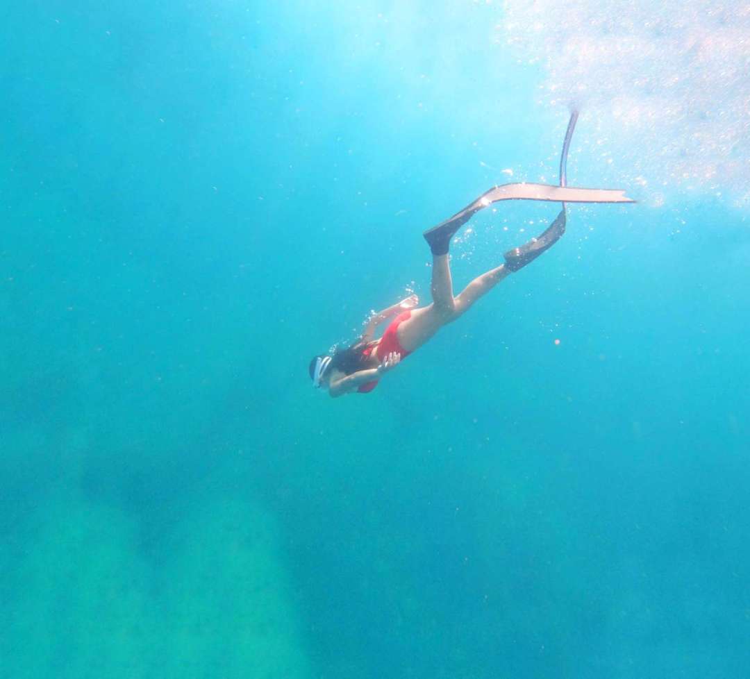 Dive+领路人的帖子