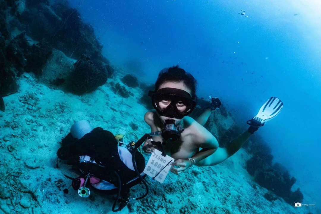 Dive+領路人的帖子