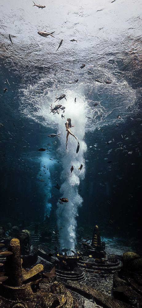 Dive+领路人的帖子