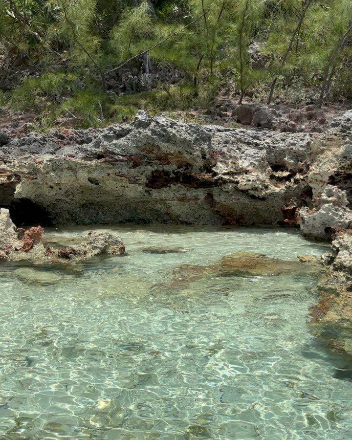 Dive+ Post Selection