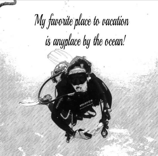 Dive+社區(qū)熱門(mén)作者