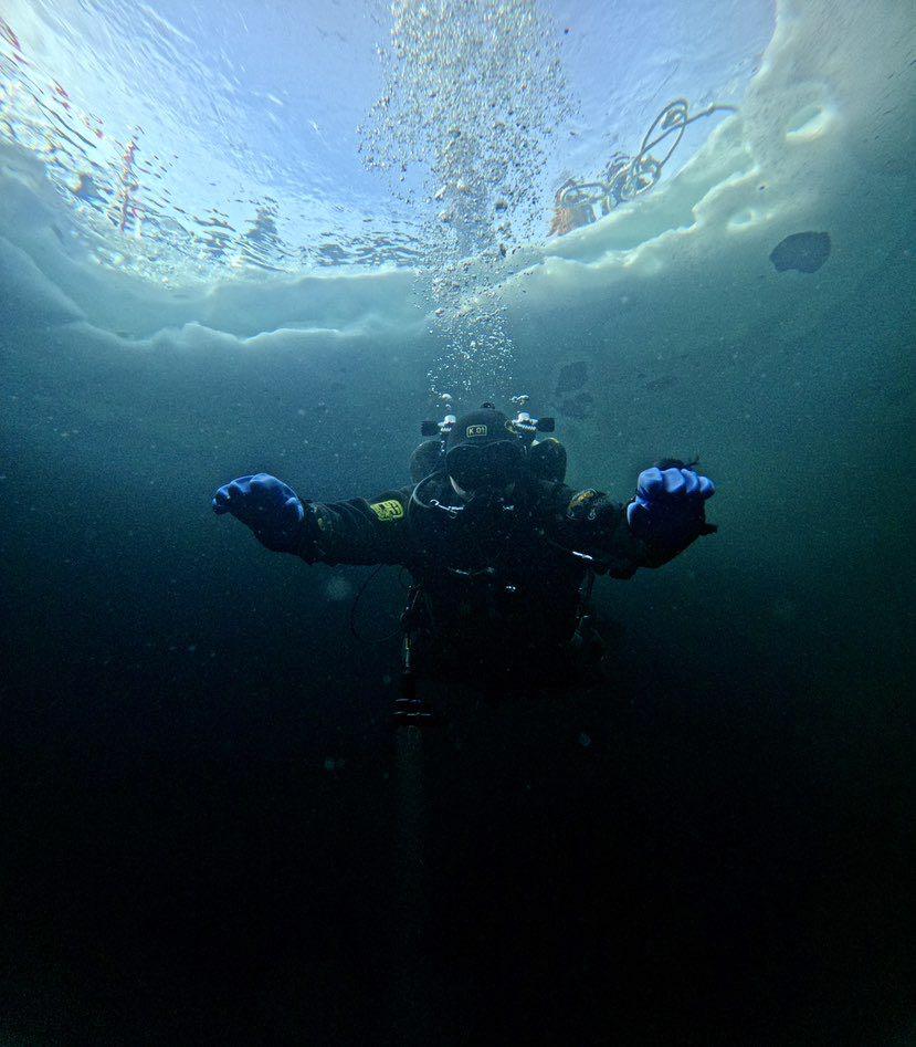 Dive+ Post Selection