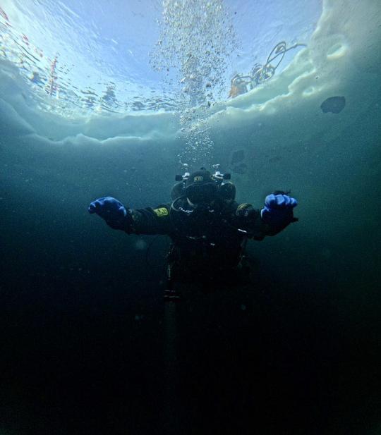 Dive+社區(qū)熱門(mén)帖子