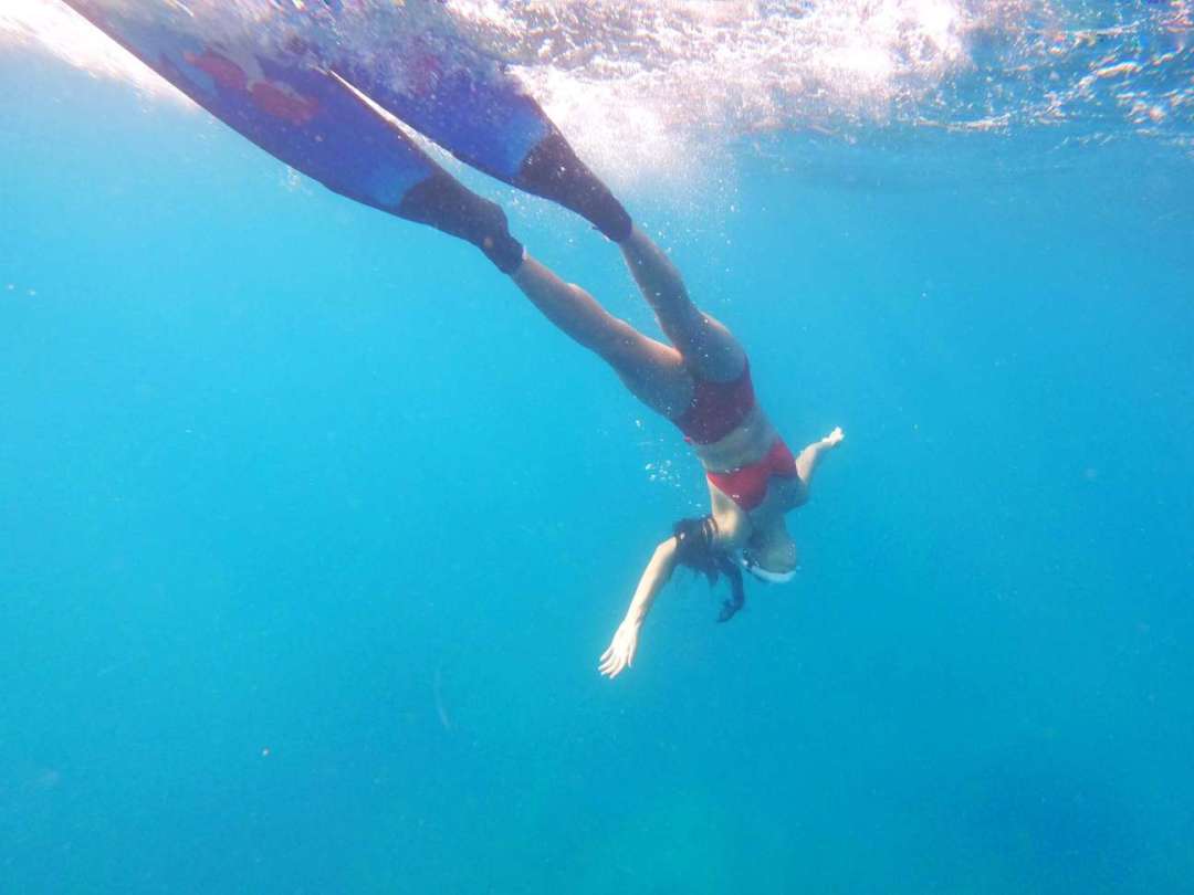 Dive+领路人的帖子