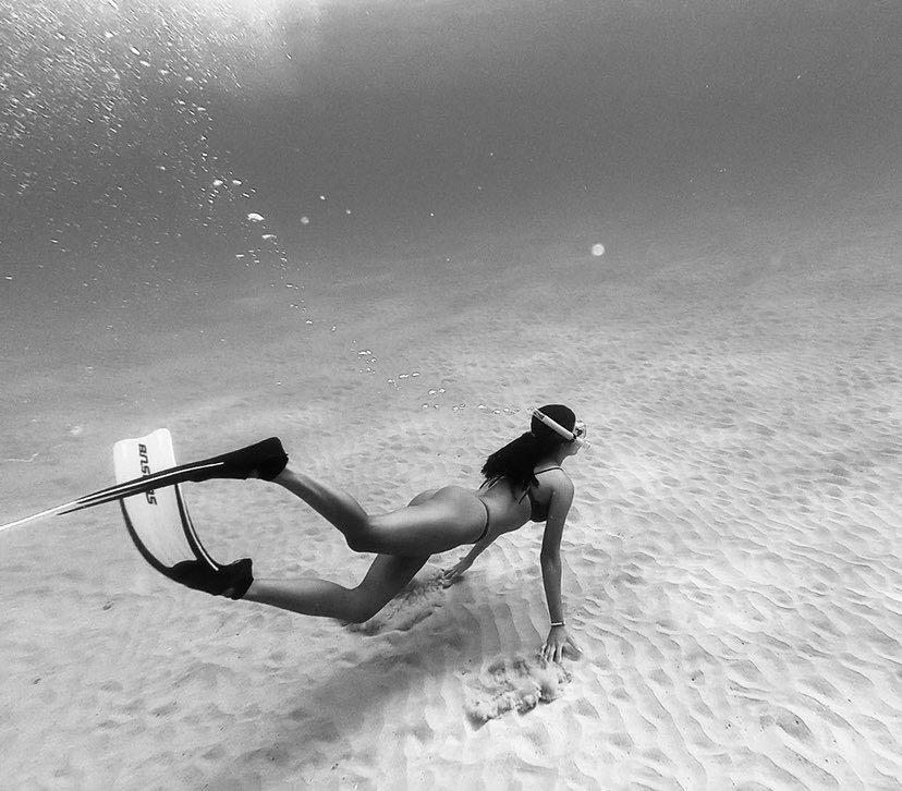 Dive+领路人的帖子