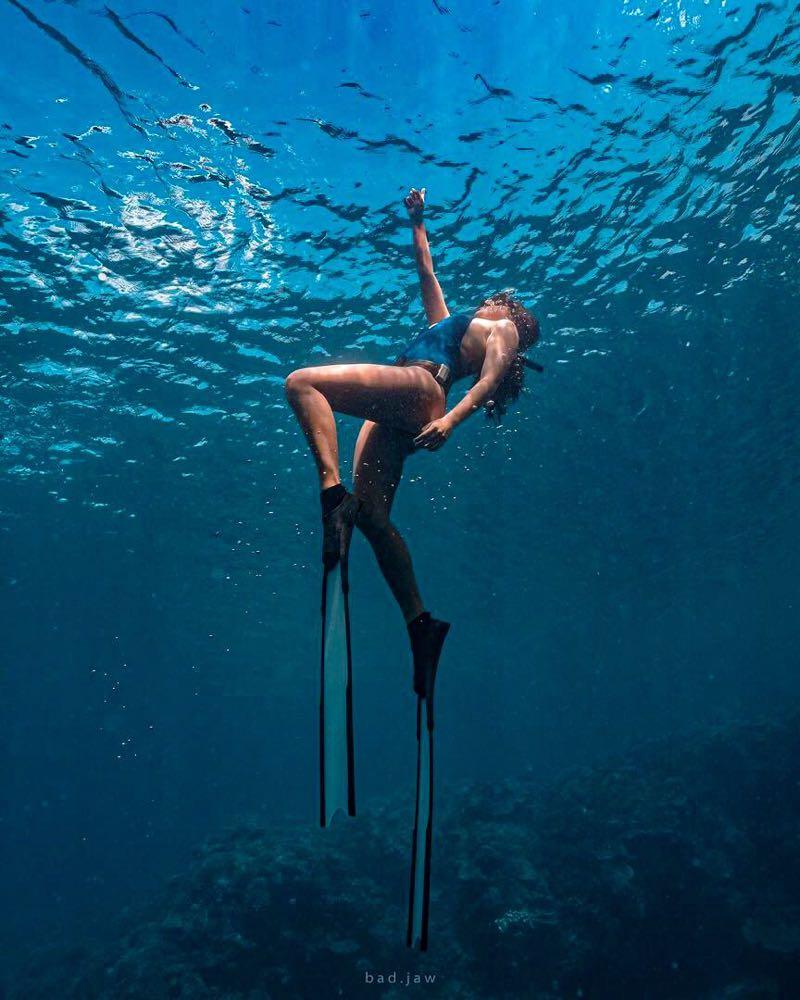 Dive+领路人的帖子