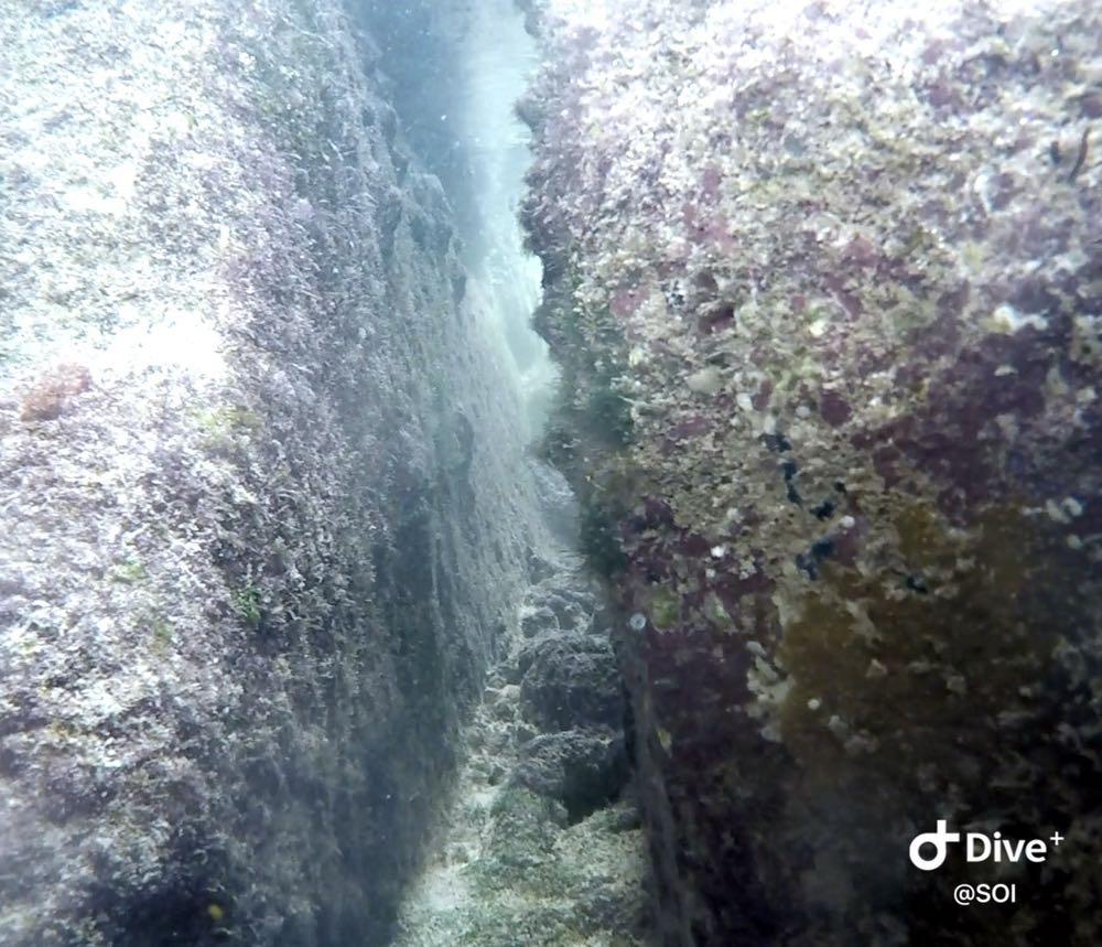 Dive+ Post Selection