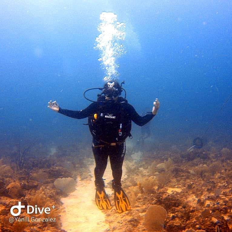 Dive+领路人的帖子