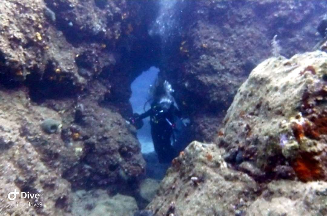 Dive+领路人的帖子