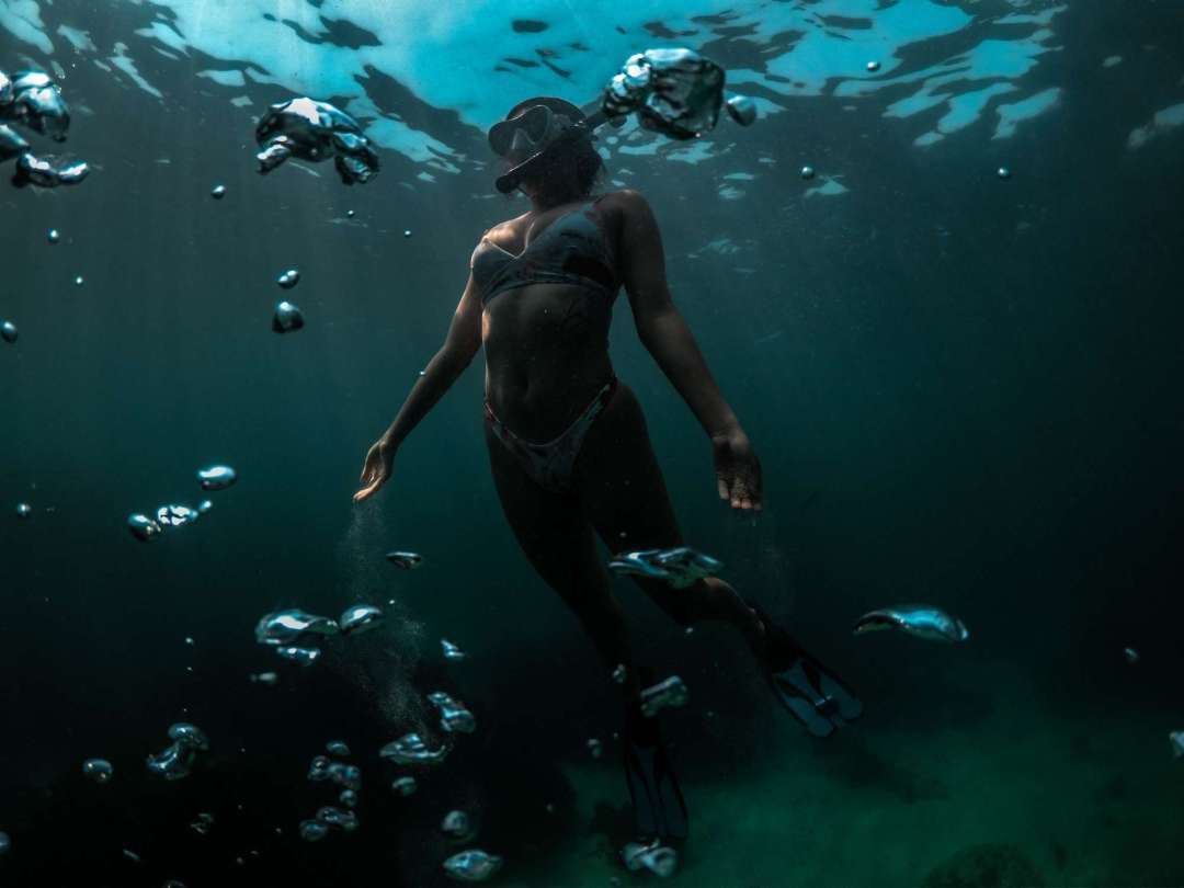 Dive+领路人的帖子