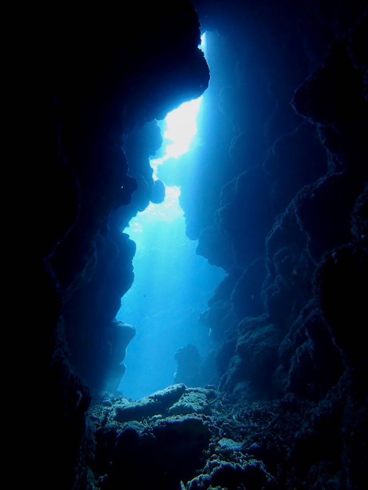 Dive+ Post Selection