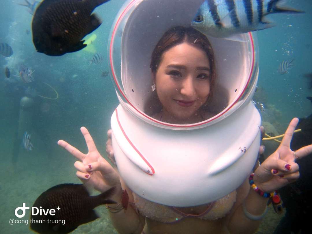 Dive+领路人的帖子