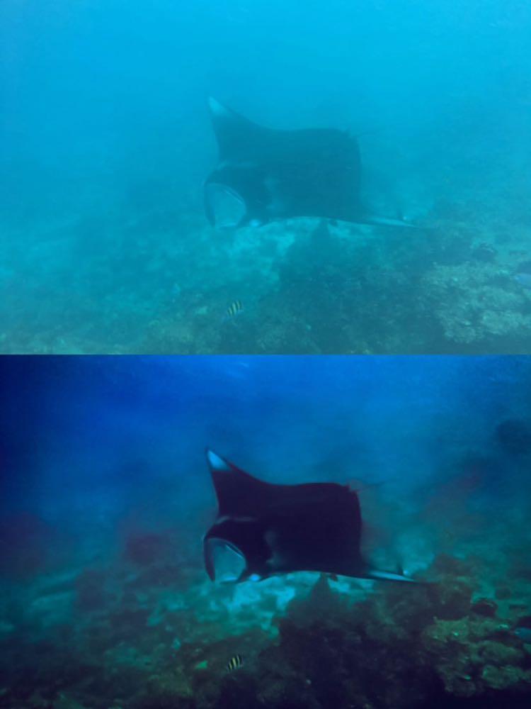 Dive+ Post Selection