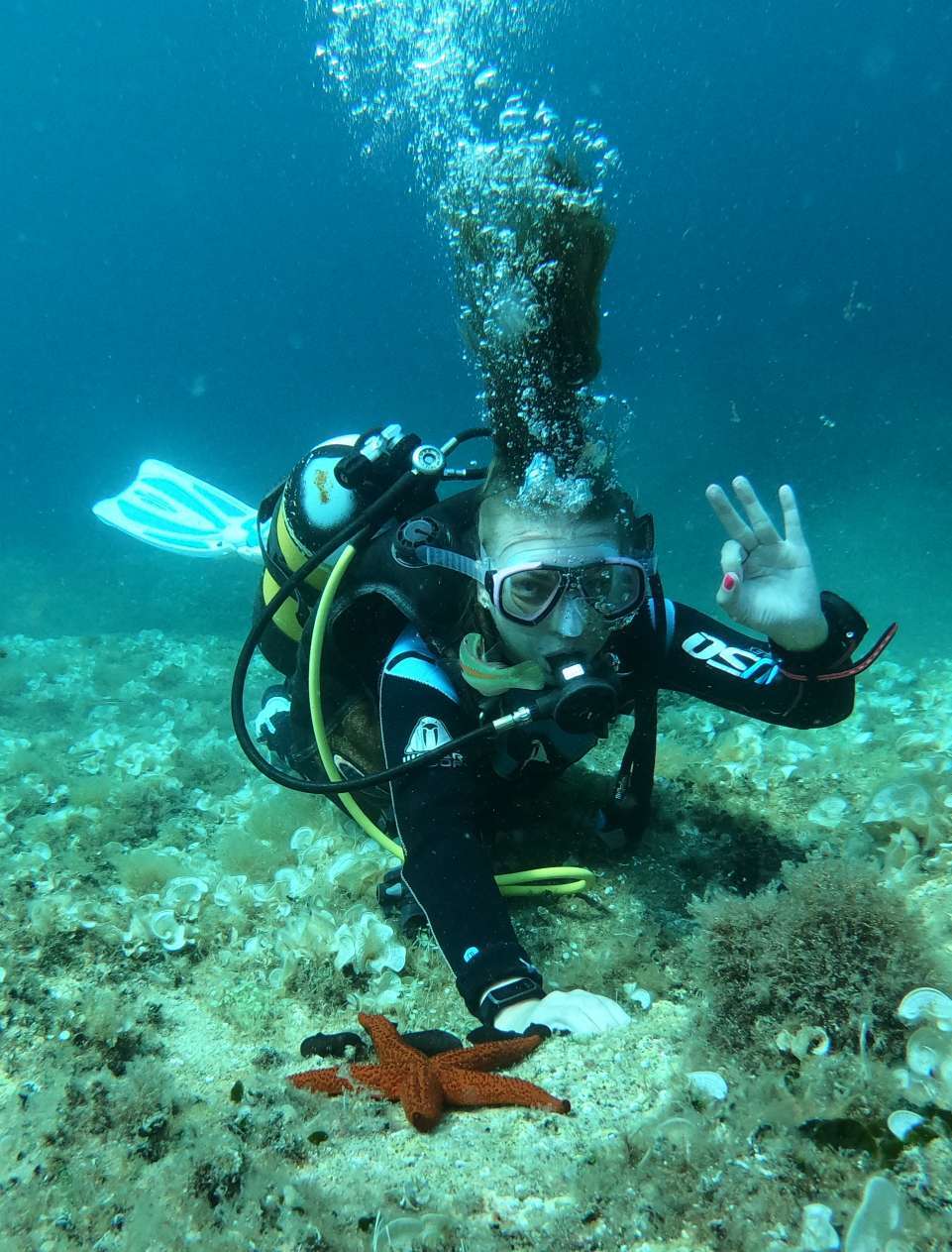Dive+领路人的帖子