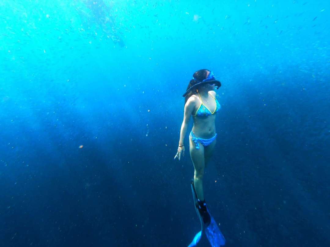 Dive+领路人的帖子