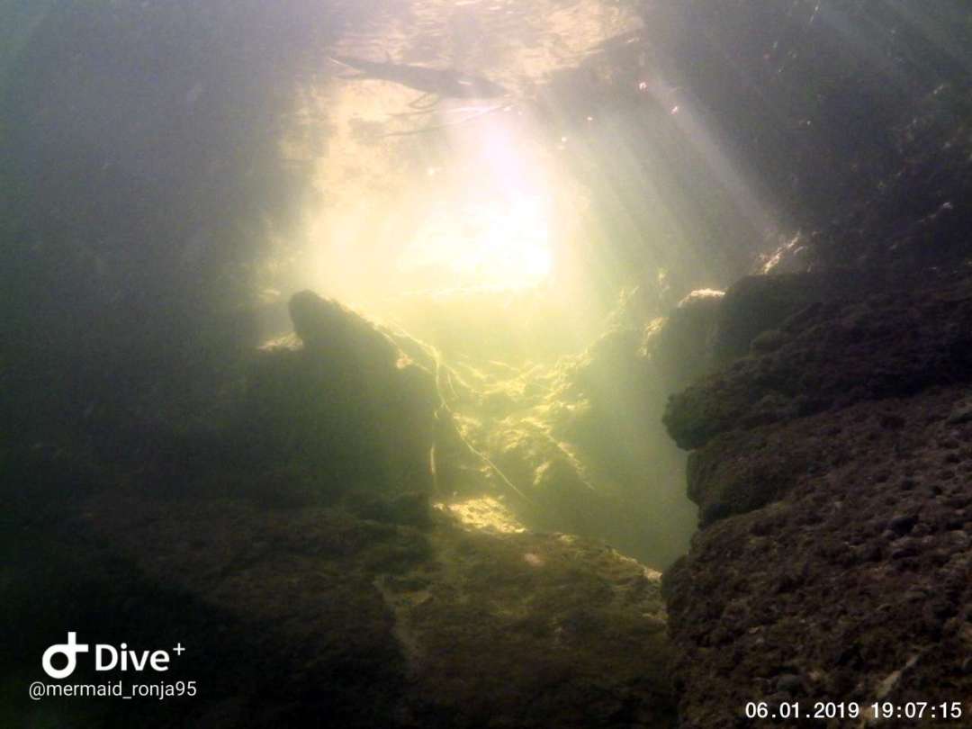 Dive+领路人的帖子