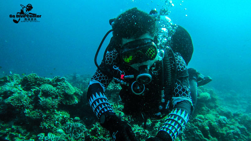 Dive+ Guide Selection