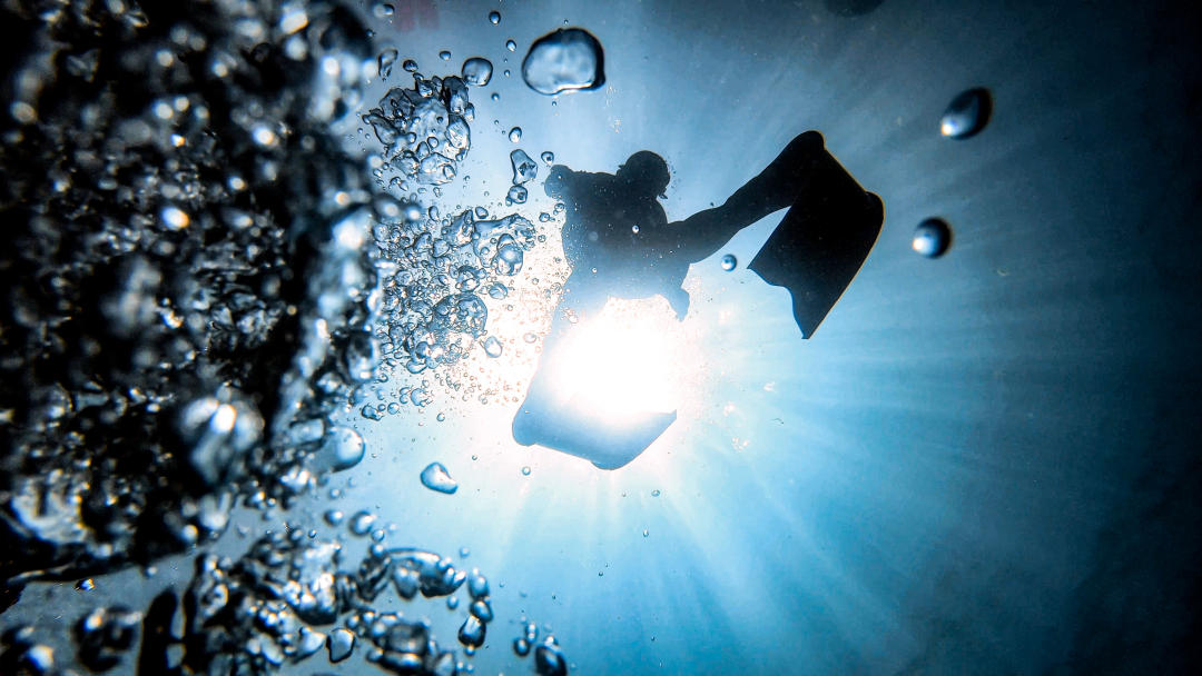 Dive+ Guide Selection