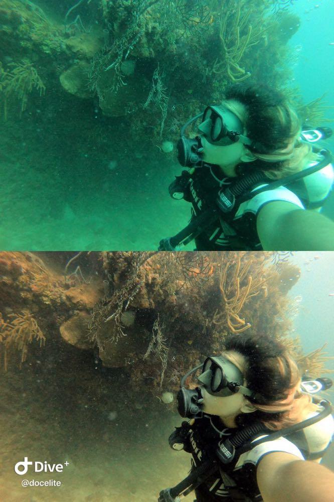 Dive+领路人的帖子