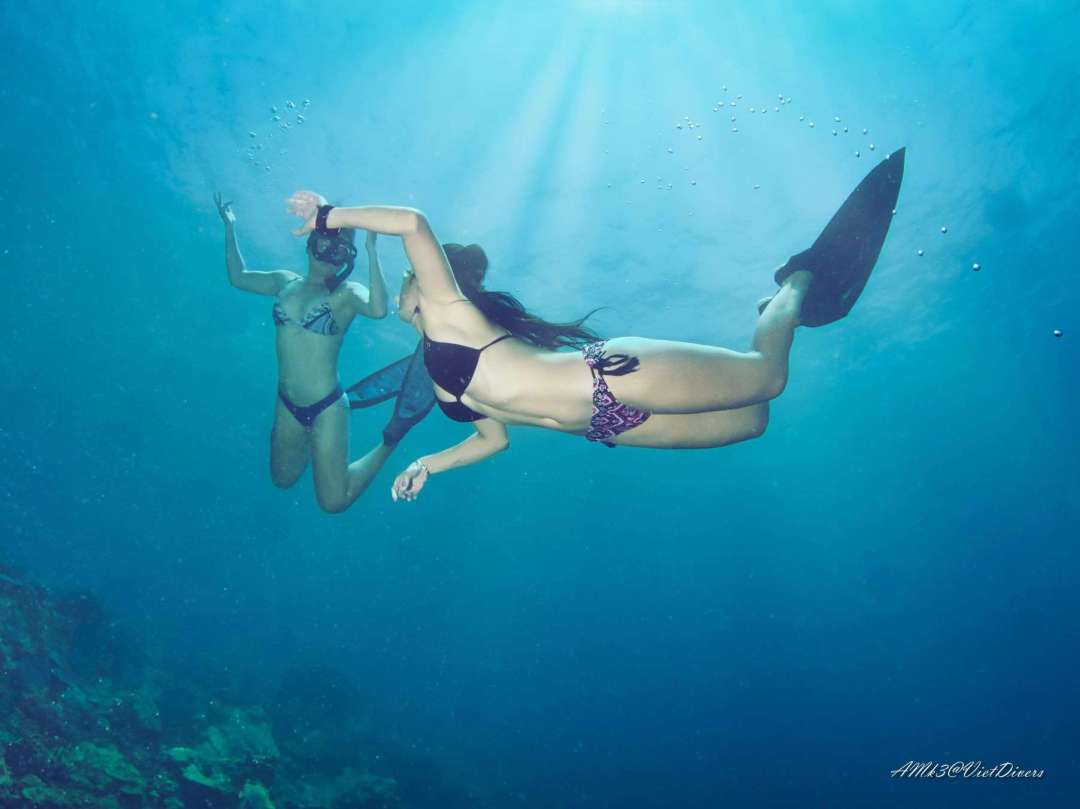 Dive+领路人的帖子