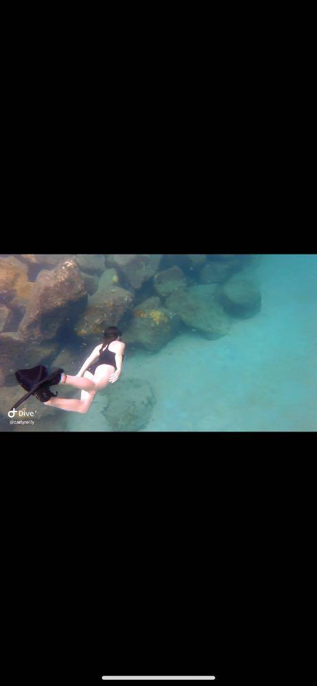 Dive+领路人的帖子