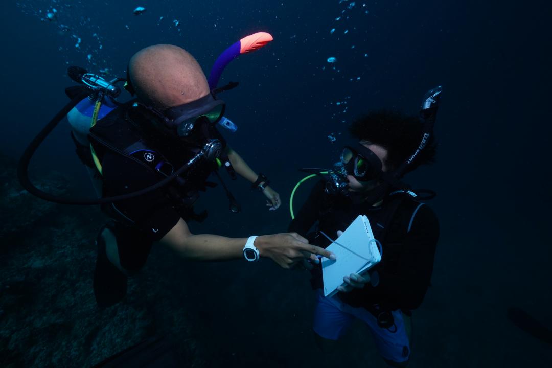 Dive+ Guide Selection