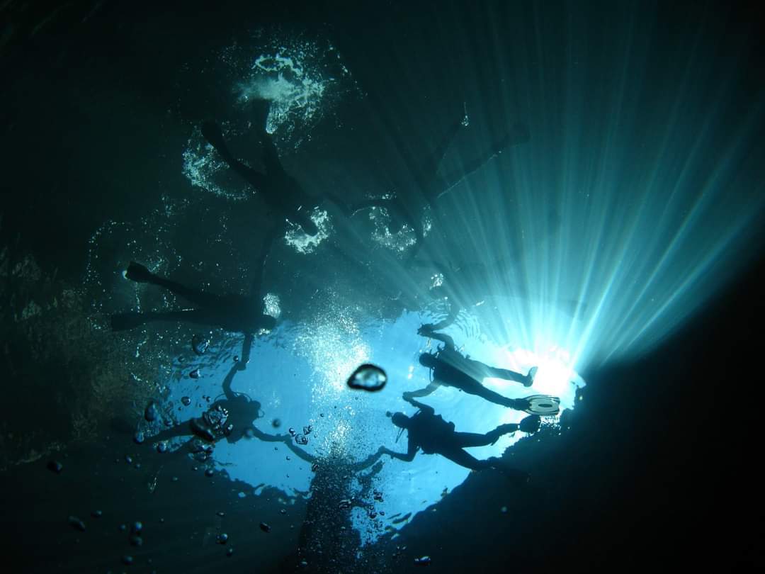 Dive+ Guide Selection