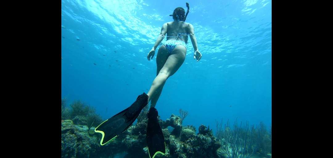 Dive+领路人的帖子