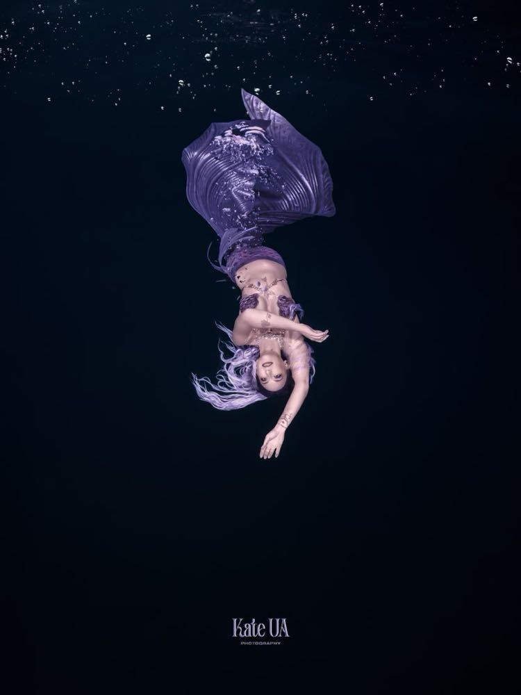 Dive+领路人的帖子