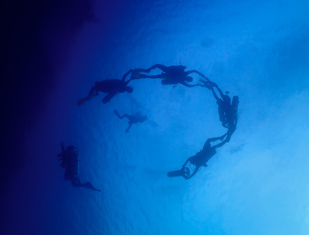 Dive+ Guide Selection