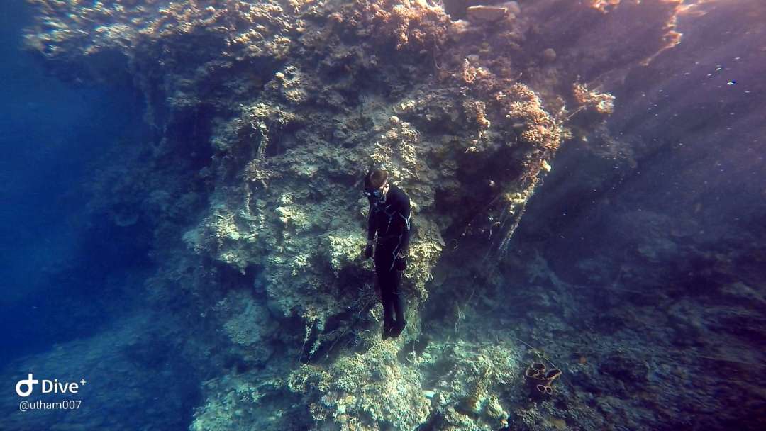 Dive+领路人的帖子