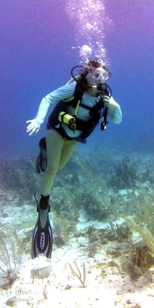 Dive+领路人的帖子
