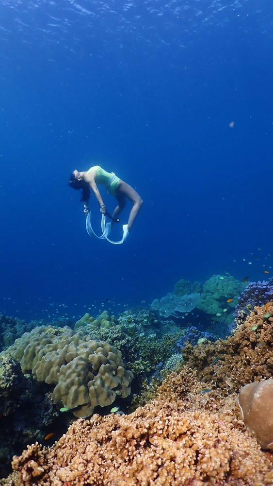 Dive+领路人的帖子