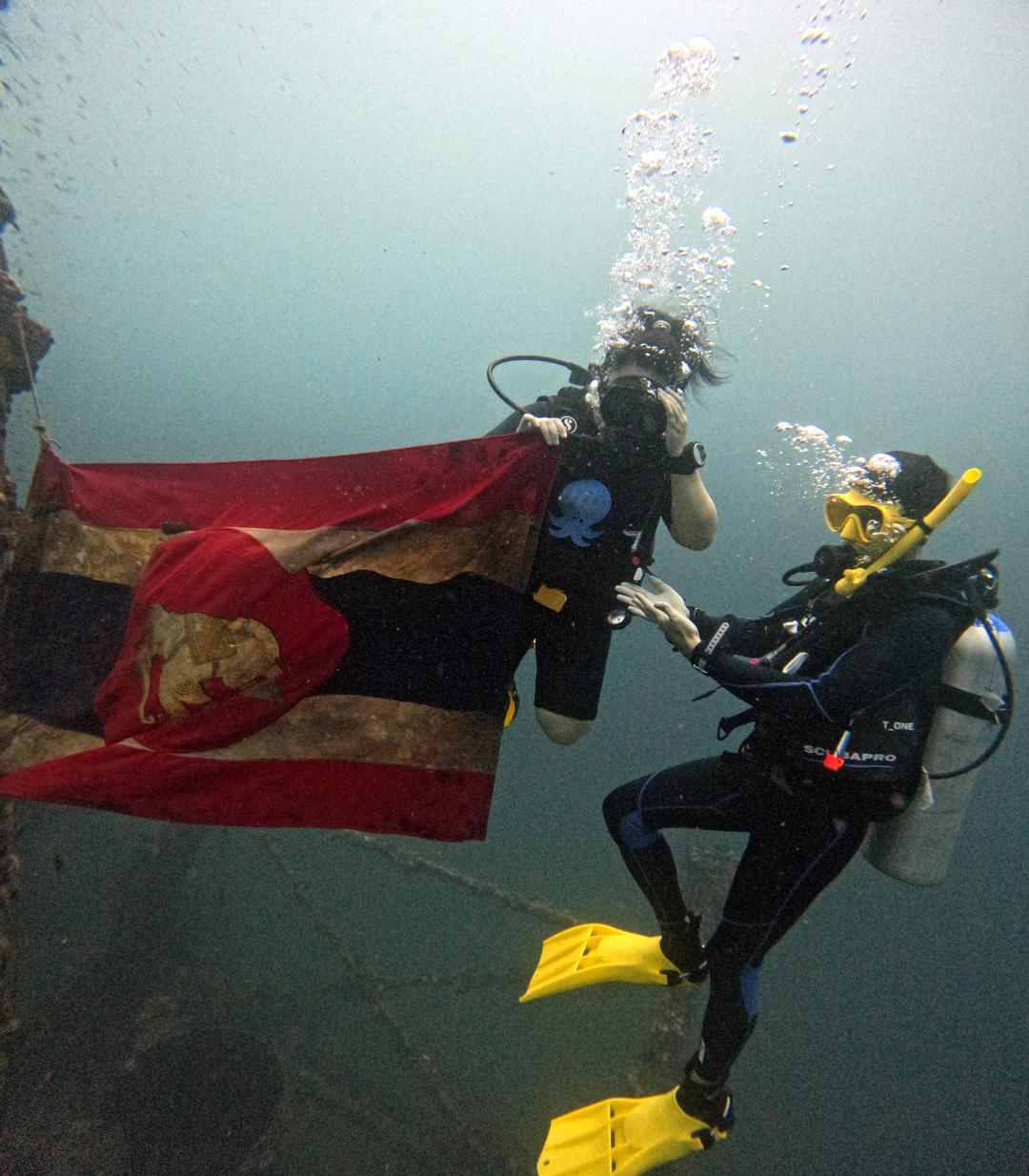 Dive+ Guide Selection