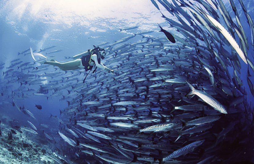 Dive+ Post Selection