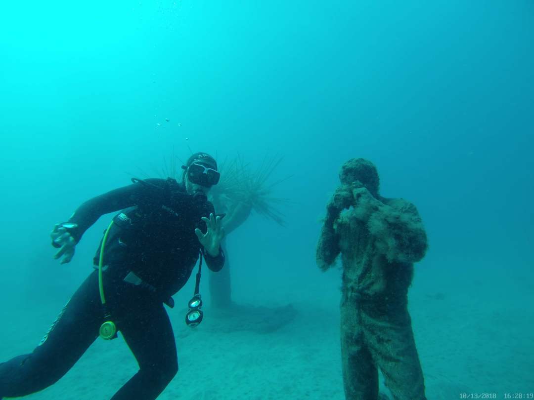 Dive+ Guide Selection