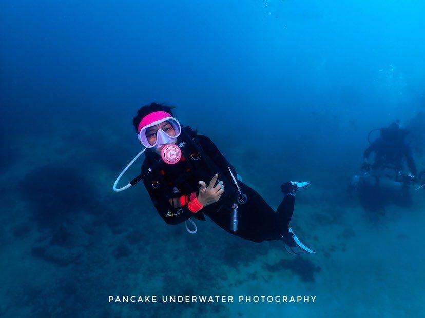 Dive+領路人的帖子