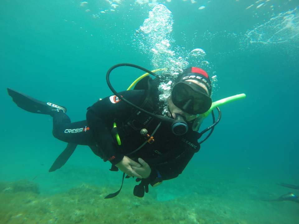 Dive+领路人的帖子