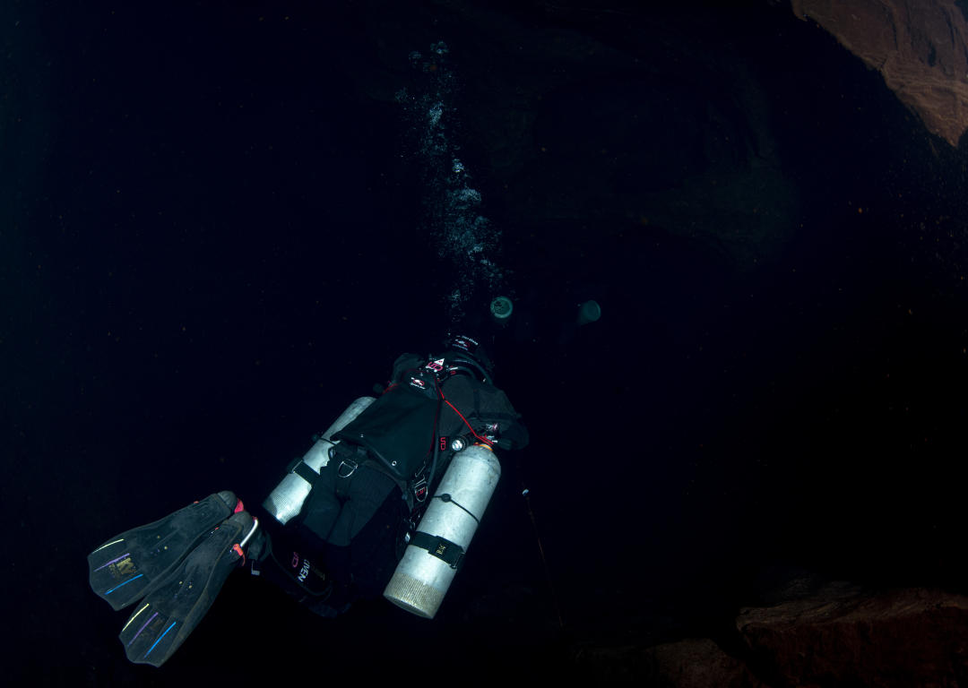Dive+ Guide Selection
