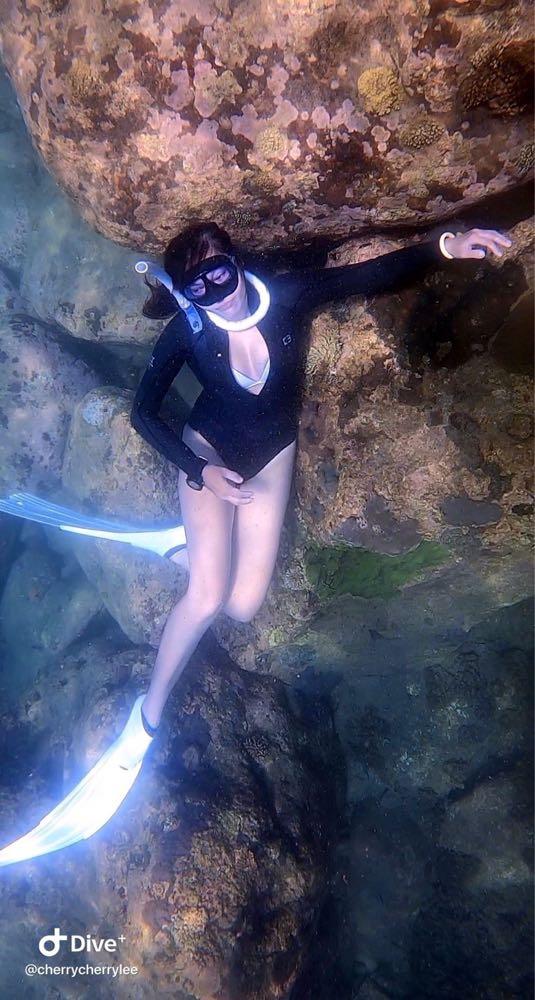 Dive+领路人的帖子