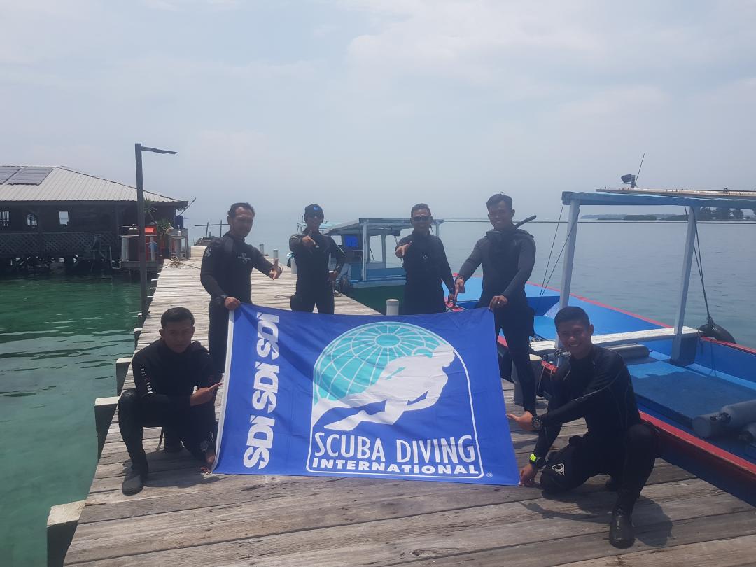 Dive+ Guide Selection