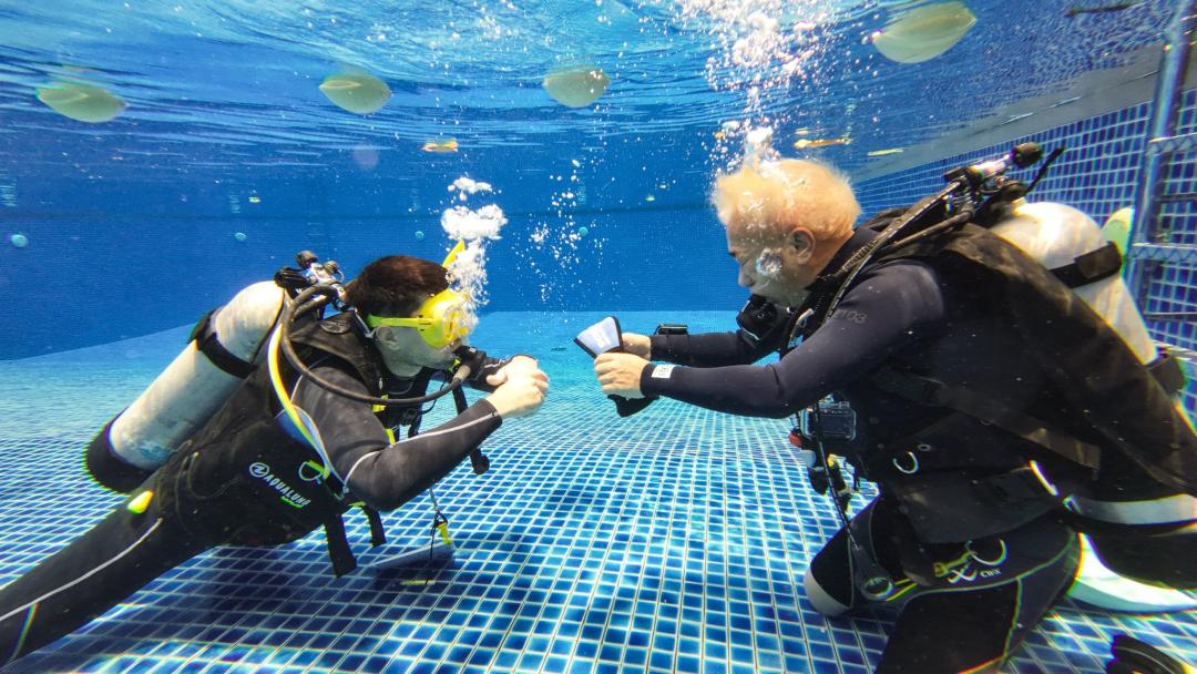 Dive+ Guide Selection