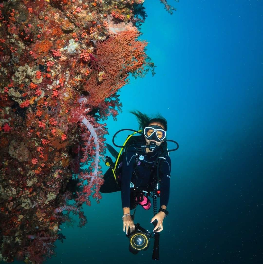 nicole - dive 认证教练