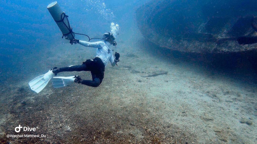 Dive+ Guide Selection