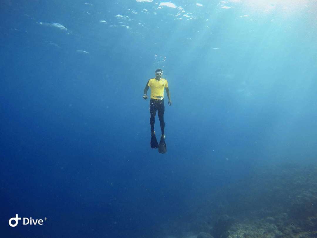 Dive+领路人的帖子