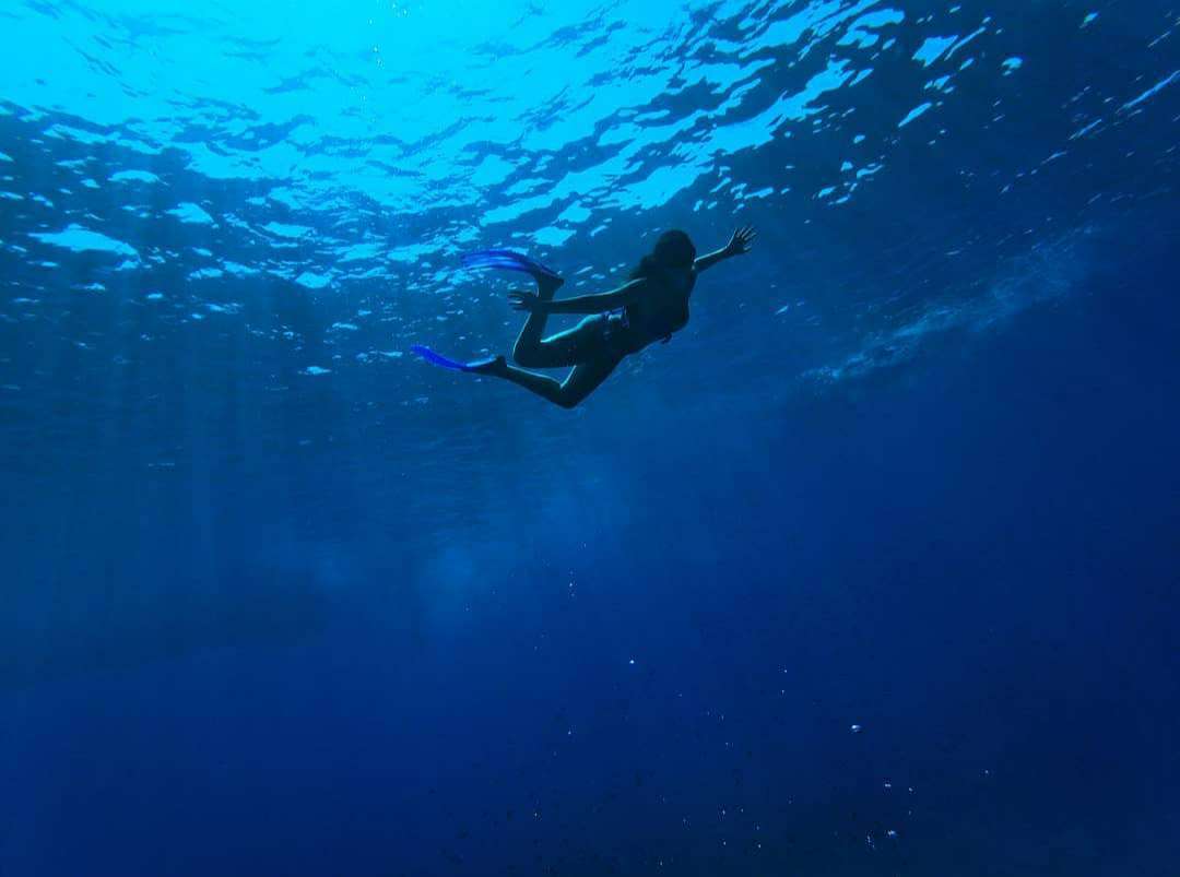Dive+领路人的帖子
