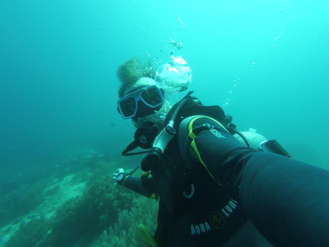 Dive+ Guide Selection